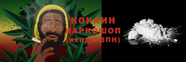 СК Новозыбков